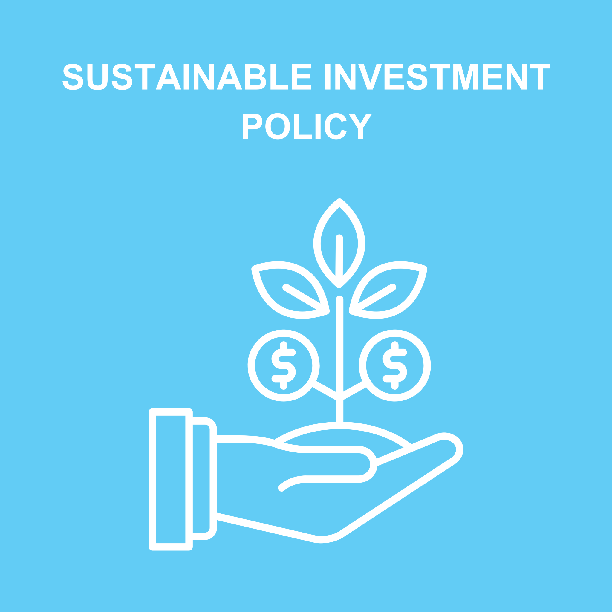Sustainable Investment Policy